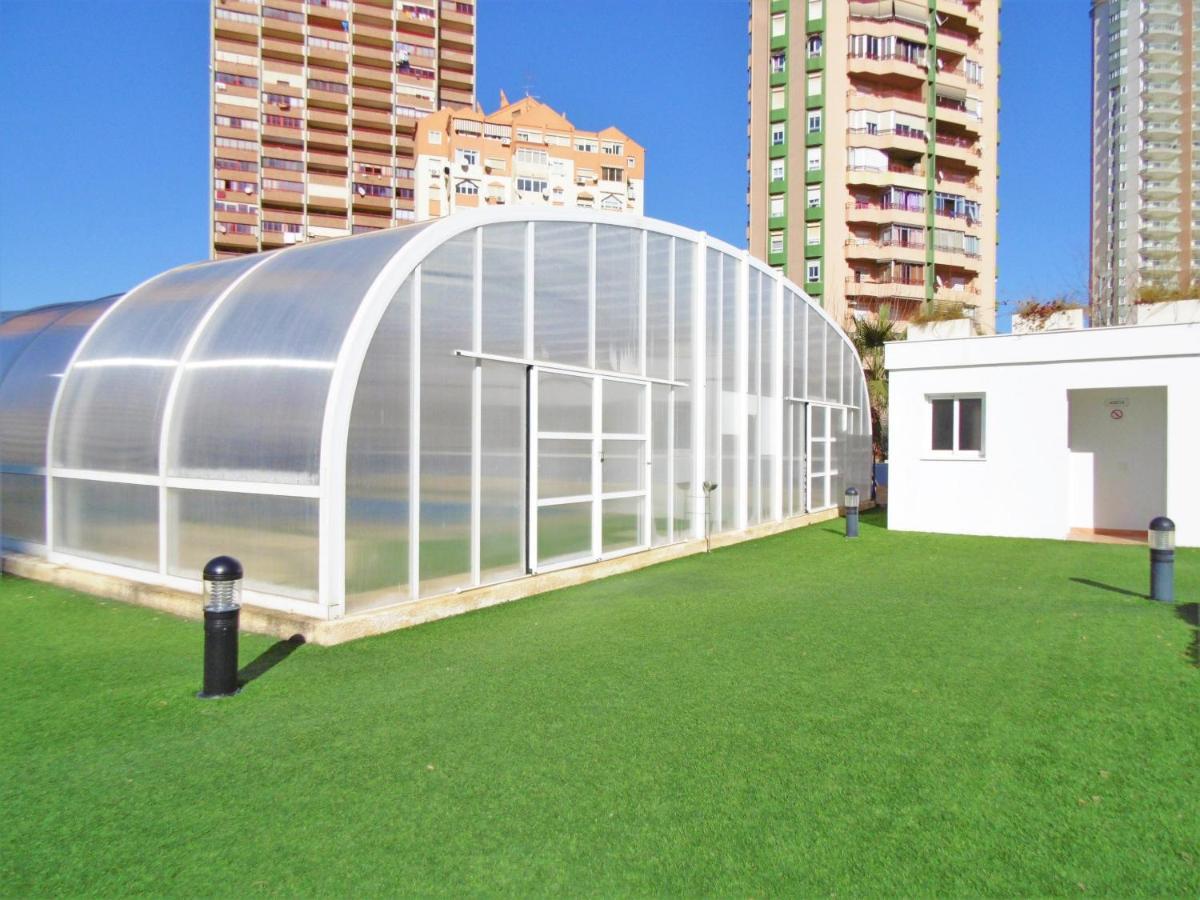 Seaside Oasis: Beachfront With Pool Apartment Benidorm