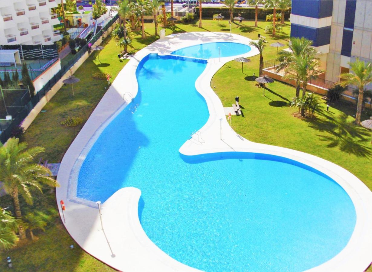 Seaside Oasis: Beachfront With Pool Apartment